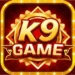 9K Game
