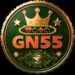 GN555 Game