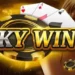 SkyWin Game