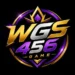 WGS456 Game